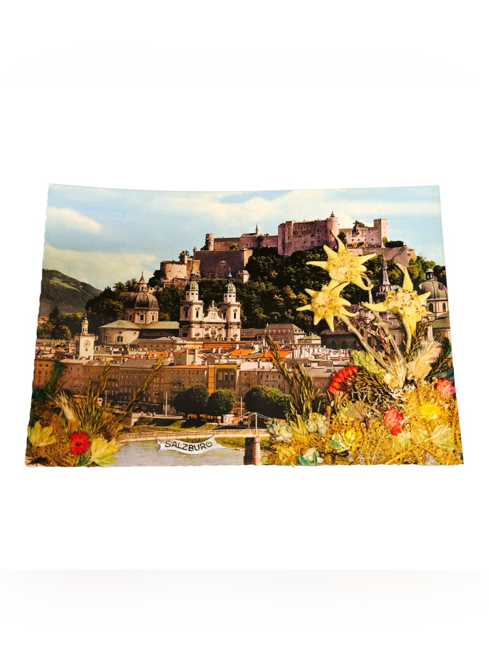 Bergwelt-Verlag 50s Salzburg Austria Fortress Hill Postcard Pressed Edelweiss